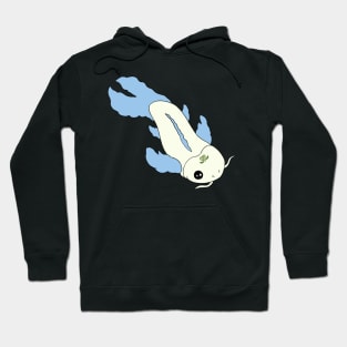 Pride Koi- Achillean Hoodie